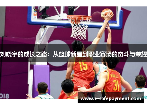 刘晓宇的成长之路：从篮球新星到职业赛场的奋斗与荣耀